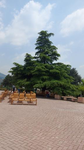 عکس هیومن پارک