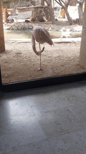 عکس هیومن پارک