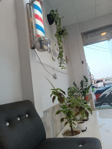 عکس پیرایش آرت