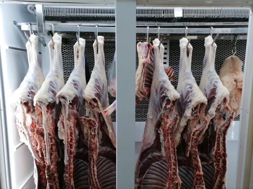 عکس سوپر گوشت رفیعی 