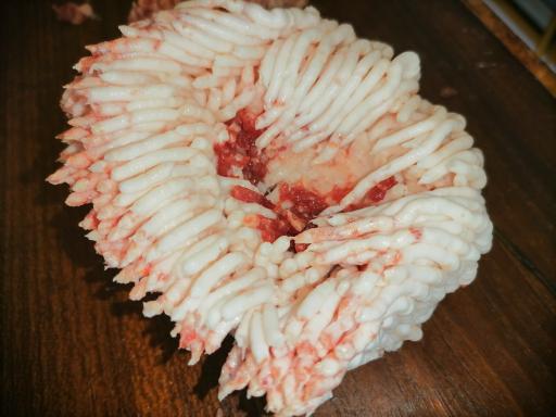 عکس سوپر گوشت رفیعی 