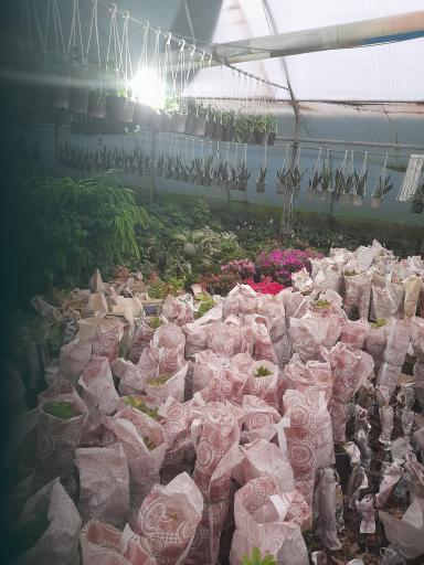 عکس گل وگلدان فروشی برادران قاسمی