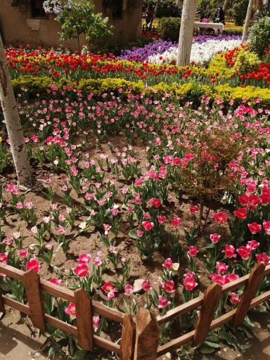 عکس ورودی 1 پارک چمران