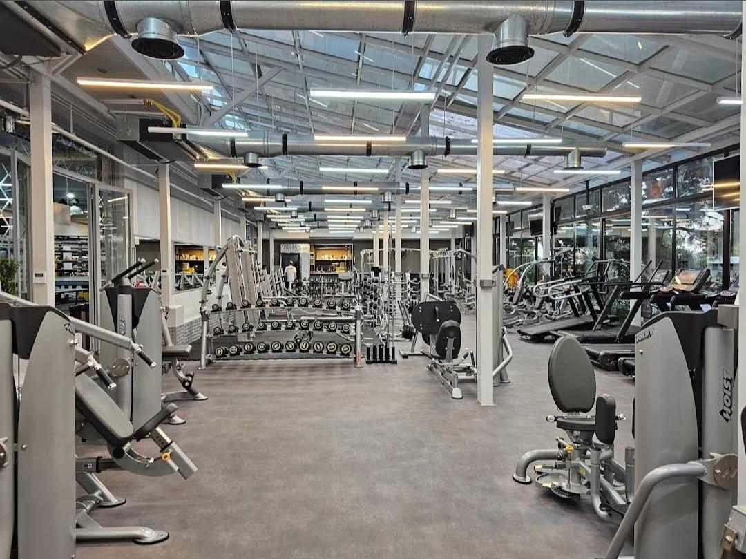 عکس باشگاه آلفا