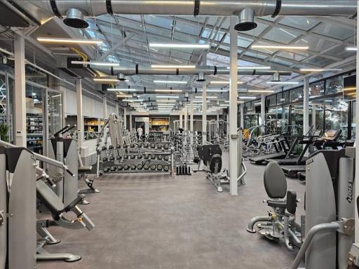 عکس باشگاه آلفا