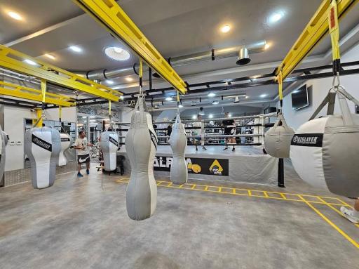 عکس باشگاه آلفا