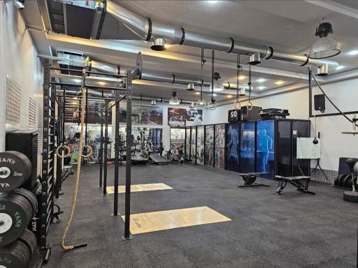 عکس باشگاه آلفا