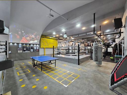 عکس باشگاه آلفا