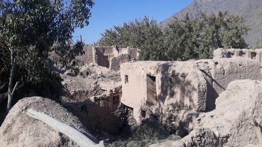 عکس کمجان