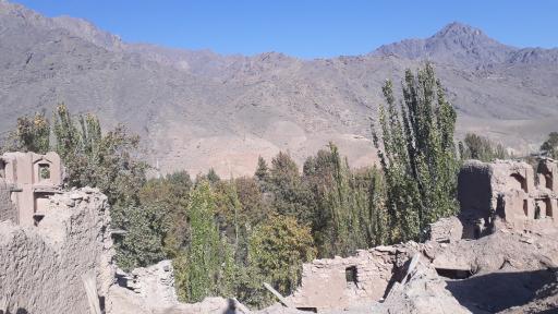 عکس کمجان