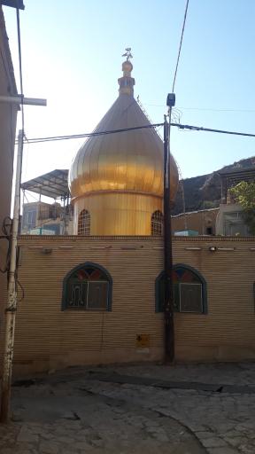 عکس کمجان