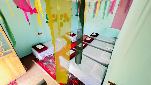 عکس بومگردی بومهرمزی