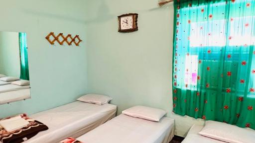 عکس بومگردی بومهرمزی