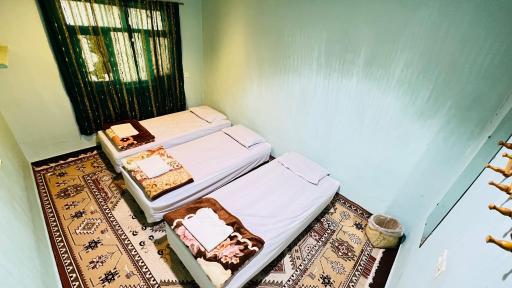 عکس بومگردی بومهرمزی