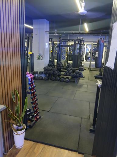 عکس باشگاه بدنسازی ژنتیک