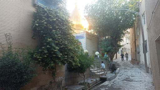 عکس کمجان