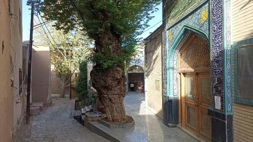 عکس کمجان