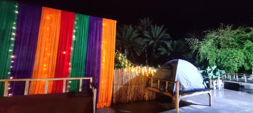 عکس بومگردی بومهرمزی