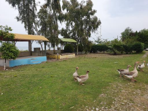 عکس متل ساحلی سالار