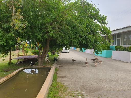 عکس متل ساحلی سالار