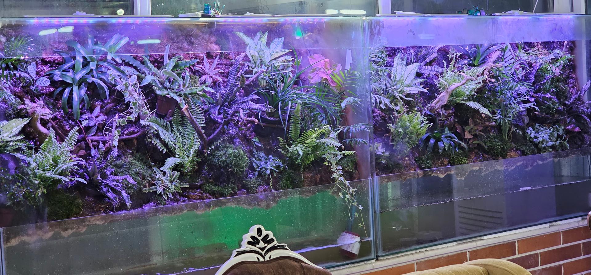 عکس آکواریوم برکه آبی