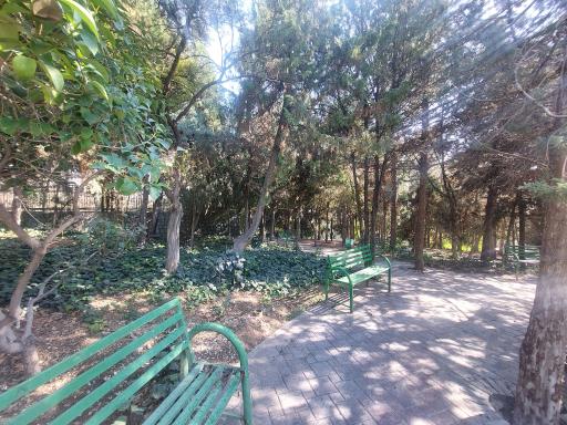 عکس پارک آزادمردان