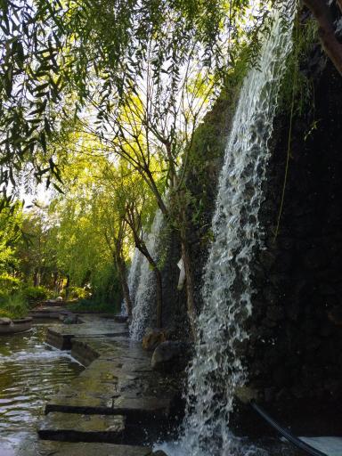 عکس پارک آزادمردان