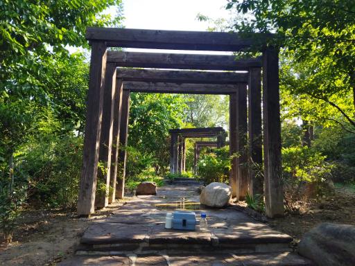 عکس پارک آزادمردان