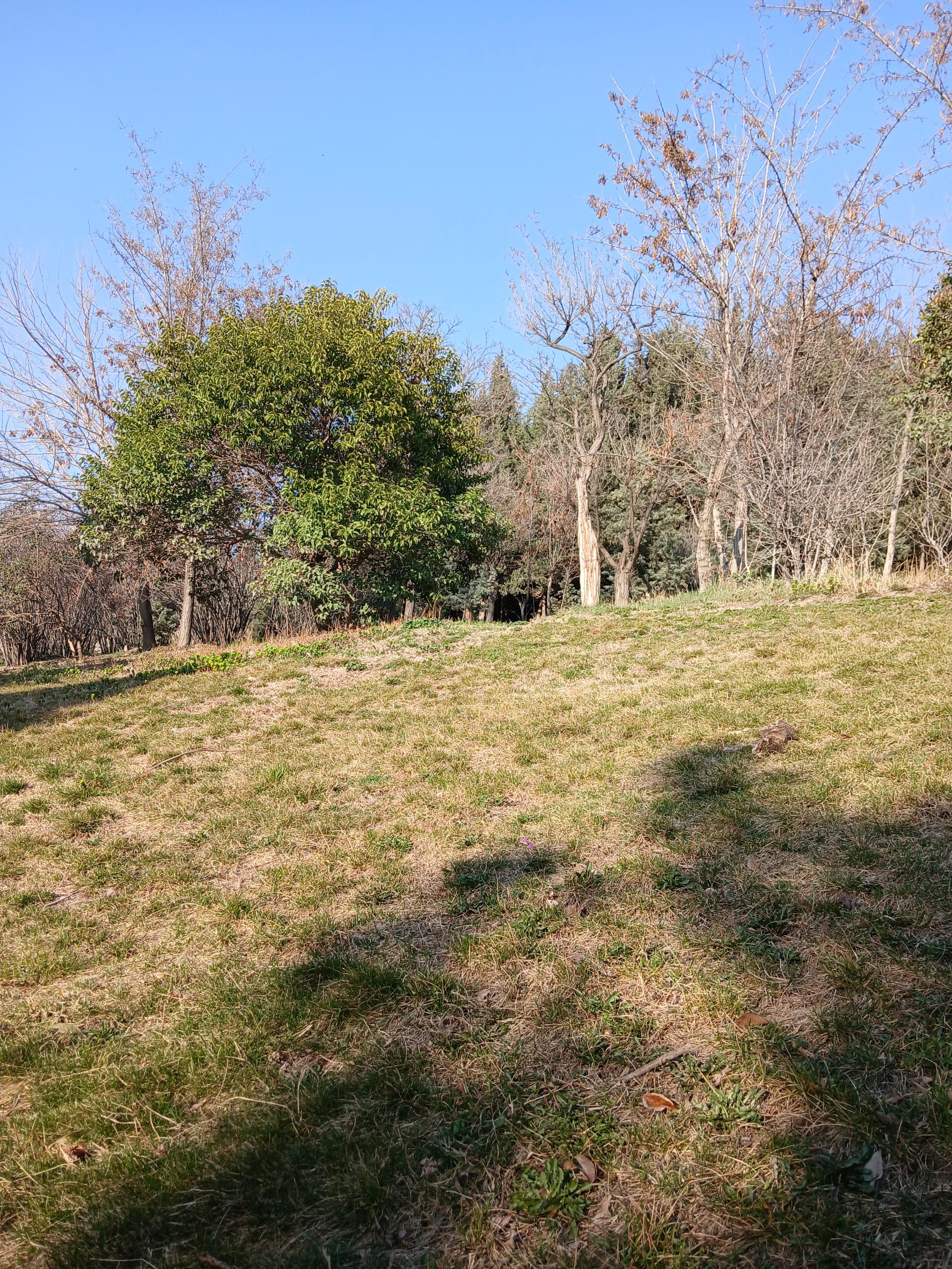 عکس پارک آزادمردان