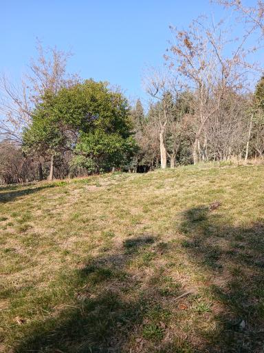 عکس پارک آزادگان 1