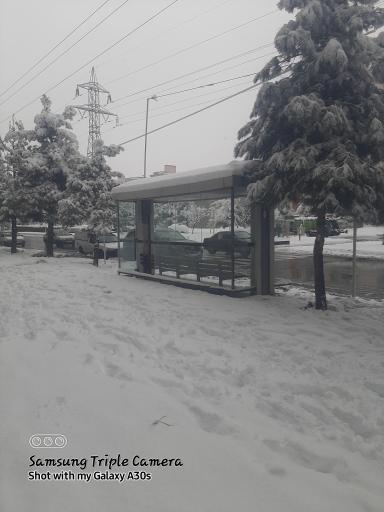 عکس  امیریه 4