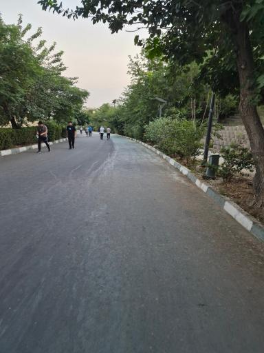 عکس پارک جنگلی پردیسان درب همت