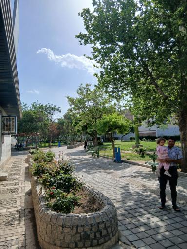 عکس بوستان میخک