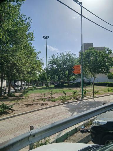 عکس بوستان میخک