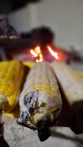 عکس کافه ۱۸۶۰