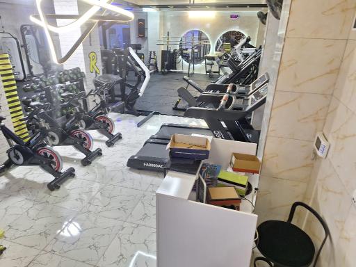 عکس باشگاه ورزشی بانوان برتر