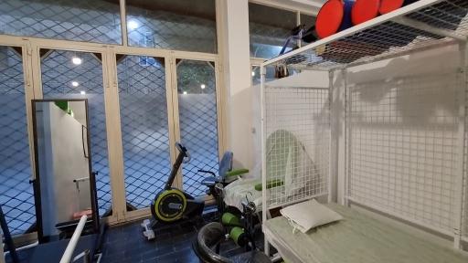 عکس فیزیوتراپی علیزاده 