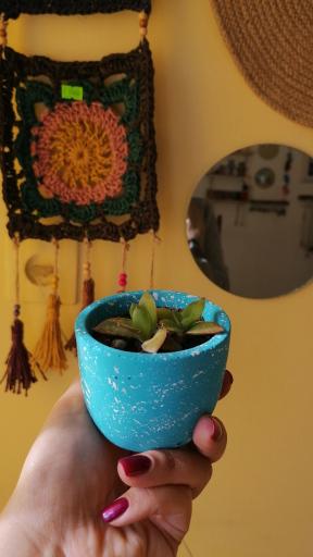 عکس گالری پلاک ۲۶۳