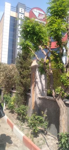 عکس تالار برلیان