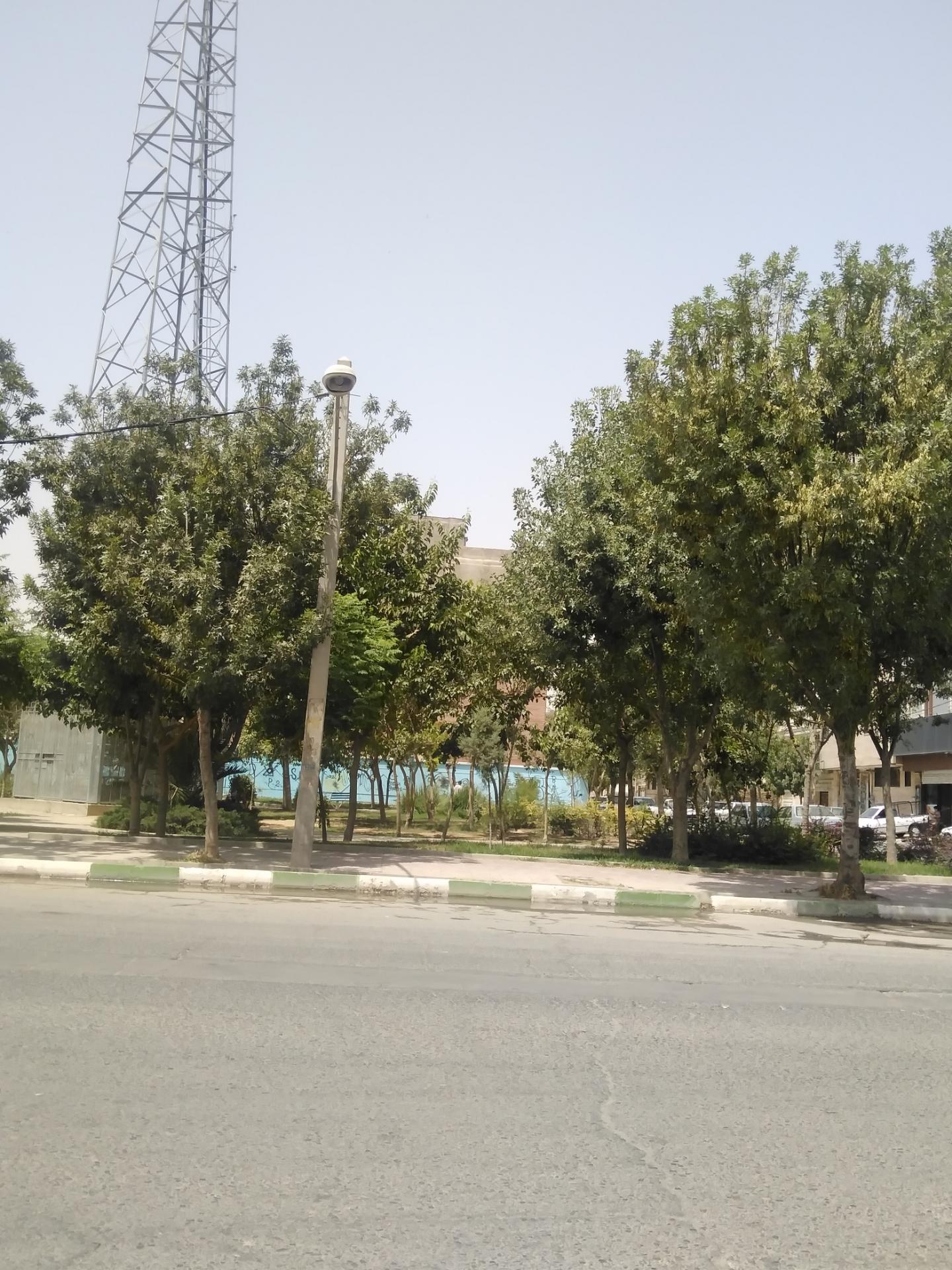عکس بوستان 