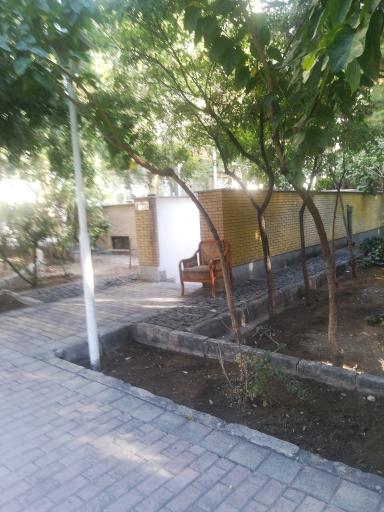 عکس سرویس بهداشتی بوستان سئول