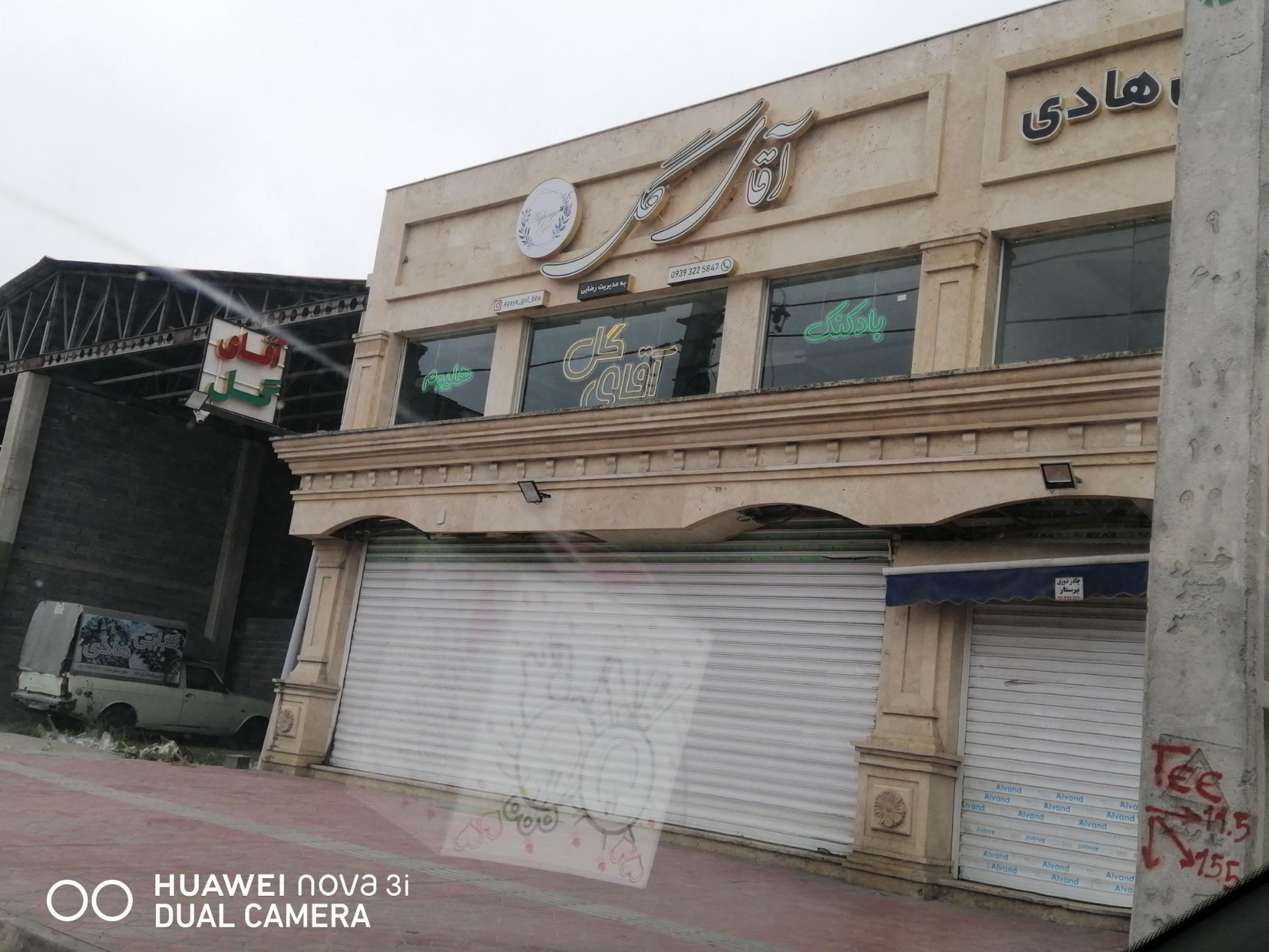 عکس آقای گل 