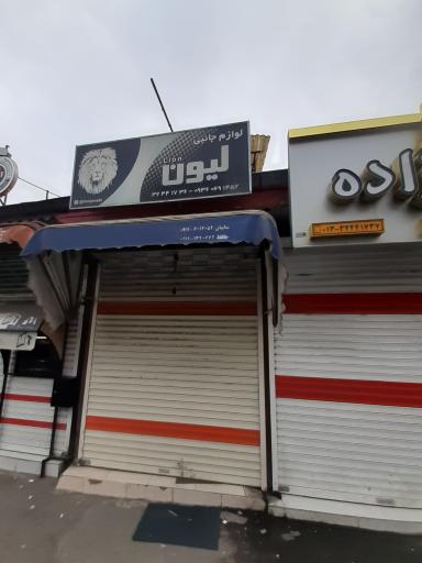 عکس لوازم جانبی لیون