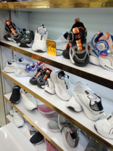 عکس کیف و کفش دختر ایرونی