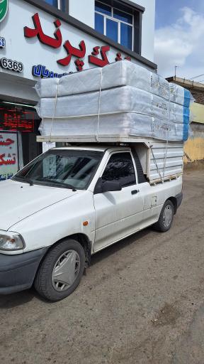 عکس تشک پرند