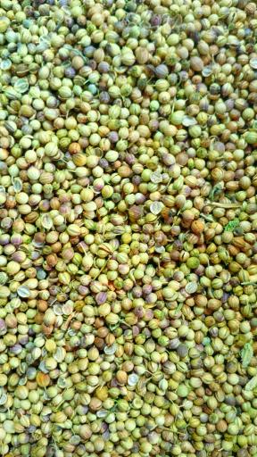 عطاری شایان