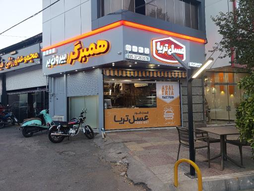 عکس همبرگر عسل تریا