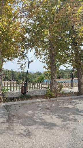 عکس پل طبیعت شاهرود