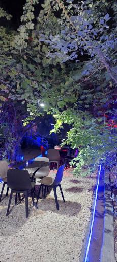 عکس پیتزا پاریس