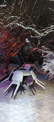 عکس پیتزا پاریس